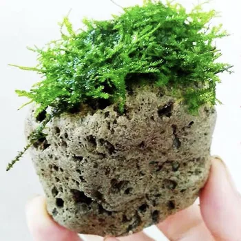 3KS akvárium Dekoračné Kamene Pozastavené Kamene Pre Terénne Prírodné Svetlo Kameň Moss Vodné Rastliny Waterscape Dekorácie