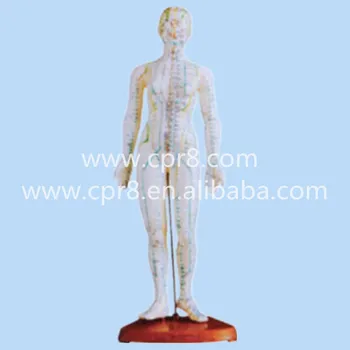 BIX-Y1009 48 cm Ľudských Žena Akupunktúra Model MQ092