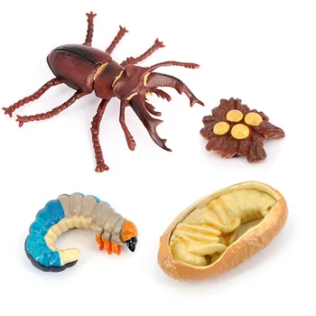 Rastu hmyzu Hračka Vzdelávacie Predškolského Rastúce Deti Hračky Rodič-dieťa Interaktívne Prenosné Plastové Figúrky Model