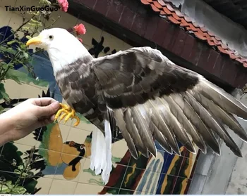 simulácia vták pevný model veľké 45x60cm perie orol vták šíri krídla domov, záhradné dekorácie, darčekové s1143