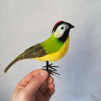 v reálnom živote hračka vtáčie perie vtákov o 17 cm živý vták Myiozetetes ctenosuara model remeselníkov, záhradné Dekorácie, rekvizity h0939